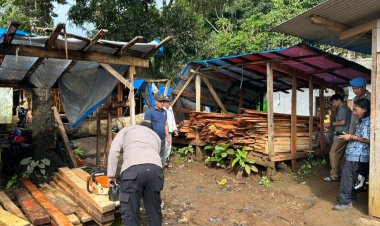 Pohon Tumbang Timpa Rumah Warga Cipicung Cikedal, Kapolsek Cikedal Bersama Warga Gerak Cepat Lakukan Evakuasi
