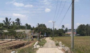 Proyek Jalan Dana Desa Tahap I 2024 Mangkrak, Material Ditumbuhi Ilalang di Pasirsedang