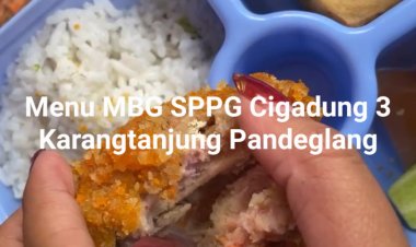 Viral Menu MBG Berbau SPPG Cigadung 3 Karangtanjung, DPC AMIRA Minta Dinkes Pandeglang Evaluasi SLHS