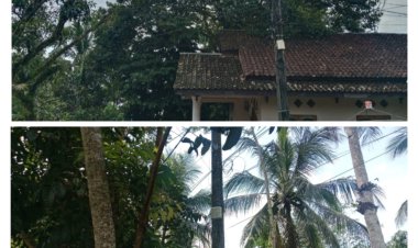 GOW-Banten Angkat Bicara, Pertanyakan Sikap PLN Soal Kabel Wi-Fi Menempel di Tiang Listrik di Sukasaba