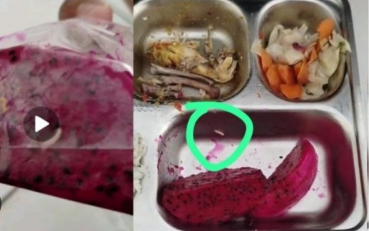 DPC AMIRA Pandeglang Minta BGN Harus Suspend dan Periksa SPPG Banyubiru Labuan Pandeglang Yang diduga Melanggar SOP BGN
