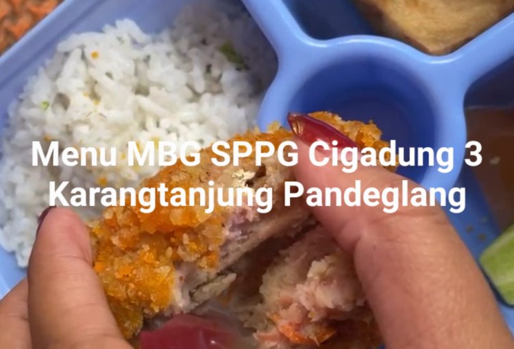 Viral Menu MBG Berbau SPPG Cigadung 3 Karangtanjung, DPC AMIRA Minta Dinkes Pandeglang Evaluasi SLHS