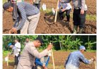 Penanaman Jagung Program Ketahanan Pangan Nasional Digelar di Desa Sindangkarya, Menes