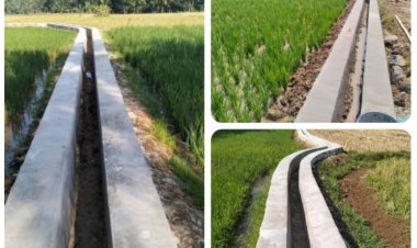 Warga Padahayu Ucapkan Terimakasih,  Kepada Drs. Ahamd Fauzi, Anggota DPR RI Fraksi PKB Atas Aspirasi Dua Proyek P3-TGAI Tahun 2026, Daerah Irigasi Ciangga Desa Padahayu Cikedal
